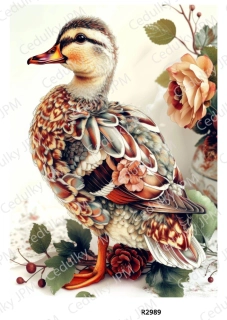 Rýžový a Soft papír A4 pro decoupage- R02989