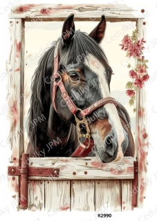 Rýžový a Soft papír A4 pro decoupage- R02990