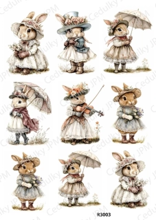 Rýžový a Soft papír A4 pro decoupage- R03003