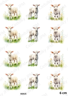 Rýžový a Soft papír A4 pro decoupage- R03025