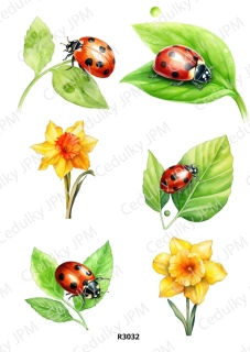 Rýžový a Soft papír A4 pro decoupage- R03032