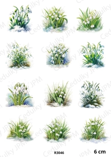 Rýžový a Soft papír A4 pro decoupage- R03046