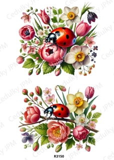 Rýžový a Soft papír A4 pro decoupage- R03150