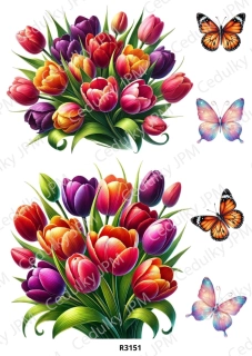 Rýžový a Soft  papír  A4 pro decoupage- R03151
