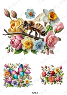 Rýžový a Soft  papír  A4 pro decoupage- R03152