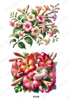 Rýžový a Soft  papír  A4 pro decoupage- R03156