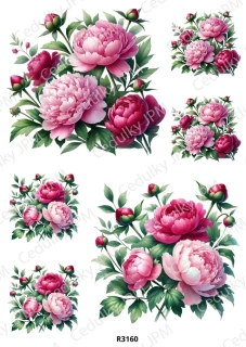 Rýžový a Soft  papír  A4 pro decoupage- R03160
