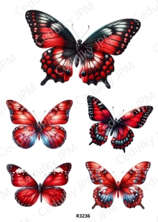 Rýžový a Soft  papír  A4 pro decoupage- R03236