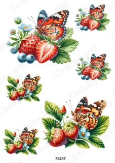 Rýžový a Soft  papír  A4 pro decoupage- R03247