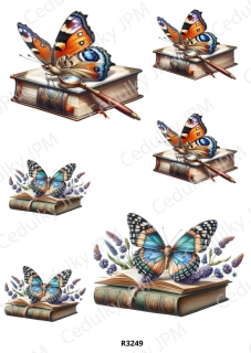 Rýžový a Soft  papír  A4 pro decoupage- R03249