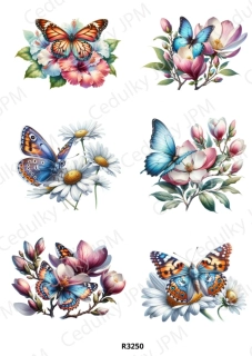 Rýžový a Soft  papír  A4 pro decoupage- R03250