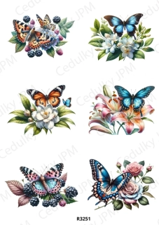 Rýžový a Soft  papír  A4 pro decoupage- R03251