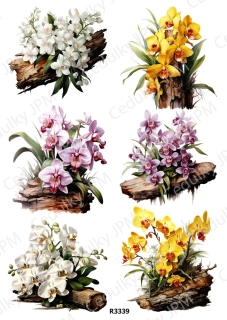 Rýžový a Soft papír A4 pro decoupage- R03339