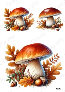 Rýžový a Soft papír A4 pro decoupage- R03363