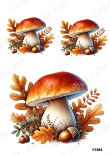 Rýžový a Soft papír A4 pro decoupage- R03364