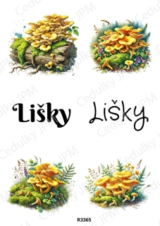 Rýžový a Soft papír A4 pro decoupage- R03365