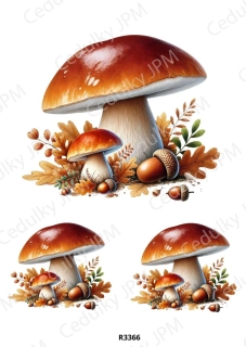 Rýžový a Soft papír A4 pro decoupage- R03366