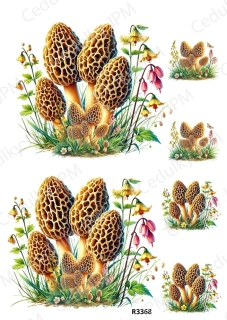 Rýžový a Soft papír A4 pro decoupage- R03368