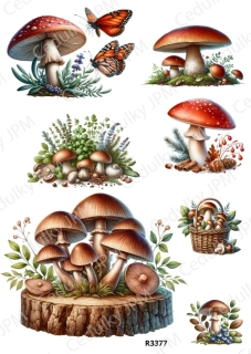 Rýžový a Soft papír A4 pro decoupage- R03377