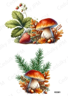 Rýžový a Soft papír A4 pro decoupage- R03381