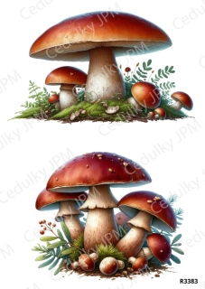 Rýžový a Soft papír A4 pro decoupage- R03383