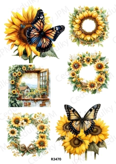 Rýžový a Soft papír A4 pro decoupage- R03470