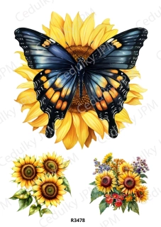 Rýžový a Soft papír A4 pro decoupage- R03478