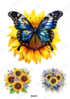 Rýžový a Soft papír A4 pro decoupage- R03479