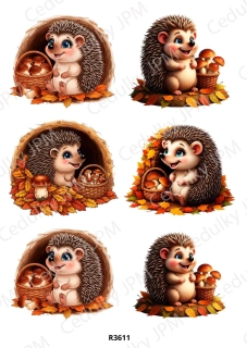 Rýžový a Soft papír A4 pro decoupage- R03611