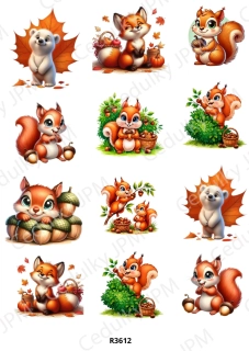 Rýžový a Soft papír A4 pro decoupage- R03612