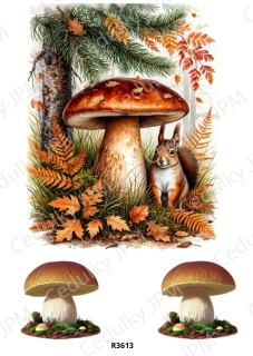 Rýžový a Soft papír A4 pro decoupage- R03613