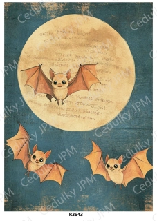 Rýžový a Soft papír A4 pro decoupage- R03643