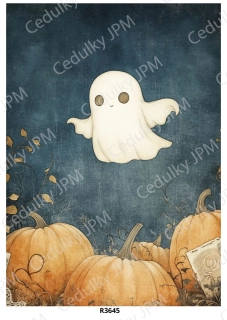 Rýžový a Soft papír A4 pro decoupage- R03645