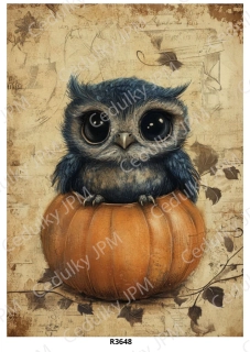 Rýžový a Soft papír A4 pro decoupage- R03648