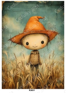 Rýžový a Soft papír A4 pro decoupage- R03651