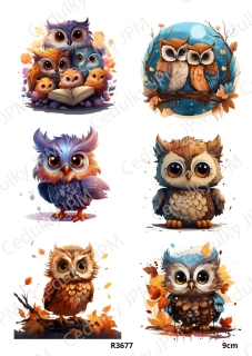 Rýžový a Soft  papír  A4 pro decoupage- R03677