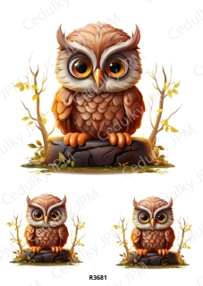 Rýžový a Soft  papír  A4 pro decoupage- R03681