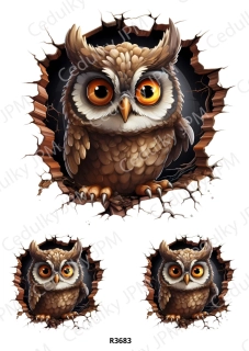Rýžový a Soft  papír  A4 pro decoupage- R03683