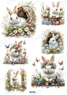 Rýžový a Soft papír A4 pro decoupage- R03748