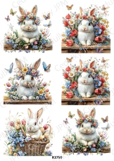 Rýžový a Soft papír A4 pro decoupage- R03750