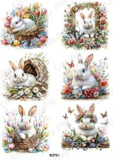 Rýžový a Soft papír A4 pro decoupage- R03751