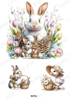 Rýžový a Soft papír A4 pro decoupage- R03752
