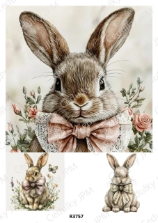 Rýžový a Soft papír A4 pro decoupage- R03757