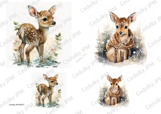 Rýžový a Soft  papír  A4 pro decoupage - R0027