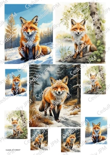 Rýžový a Soft  papír  A4 pro decoupage - R0037