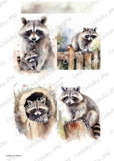 Rýžový a Soft  papír  A4 pro decoupage - R0042