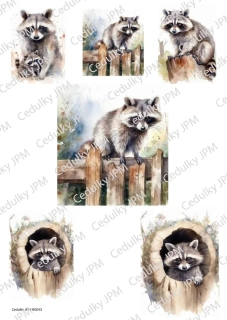 Rýžový a Soft  papír  A4 pro decoupage - R0043