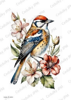 Rýžový a Soft  papír  A4 pro decoupage - R0052
