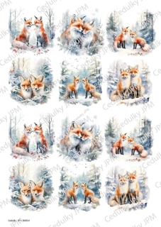 Rýžový a Soft  papír  A4 pro decoupage - R0054