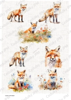 Rýžový a Soft  papír  A4 pro decoupage - R0067